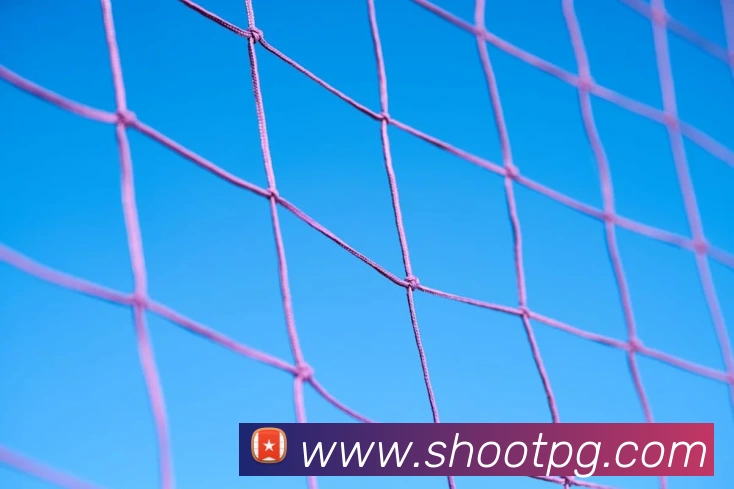 pg官网APP 封面图